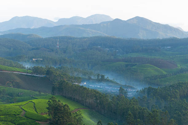 istock Mountain ranges covered in fog in Munnar 1645603716