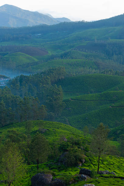 istock Mountain ranges covered in fog in Munnar 1645603737