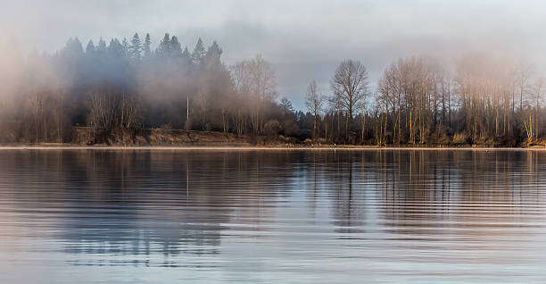 Misty Forest Across River stock photo