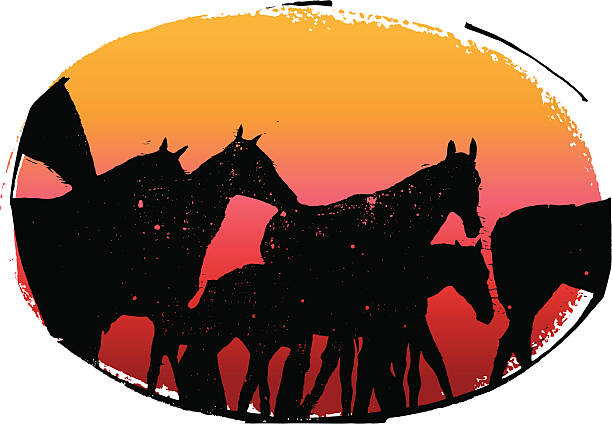 Horses And Sunset vector art illustration