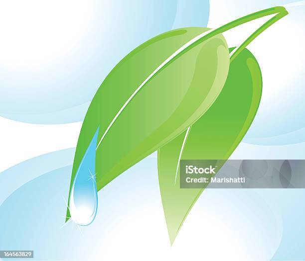 Leave Drop Vectordraw Drop And Leaf Stock Illustration - Download Image Now - Plant ...
