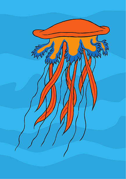 Jellyfish vector art illustration