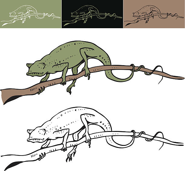 camelion 벡터 아트 일��러스트