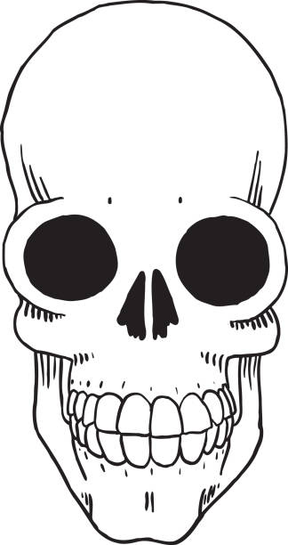 Skull vector art illustration