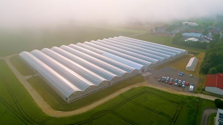 Drone view over modern agricultural greenhouses and car parking area