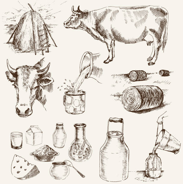 illustrazioni stock, clip art, cartoni animati e icone di tendenza di prodotti di mucca e latte - jar old fashioned bottle glass