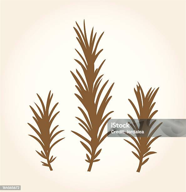 복고풍 양식화된 Rosemary 스텁 흰색 바탕에 갈색에 대한 스톡 벡터 아트 및 기타 이미지 - 갈색, 건강관리와 의술, 농업