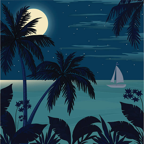 illustrazioni stock, clip art, cartoni animati e icone di tendenza di paesaggio dell'oceano tropicale con palme - horizon over water transportation sailing hawaii islands