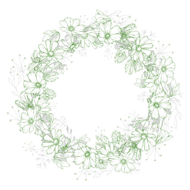 Floral wreath with cute green outline flowers Floral wreath with cute green outline flowers and leaves on white background. Place for text. Hand drawn.Round frame for your design, greeting cards, wedding invitations. Floral stock illustration. white background chicory isolated white stock illustrations