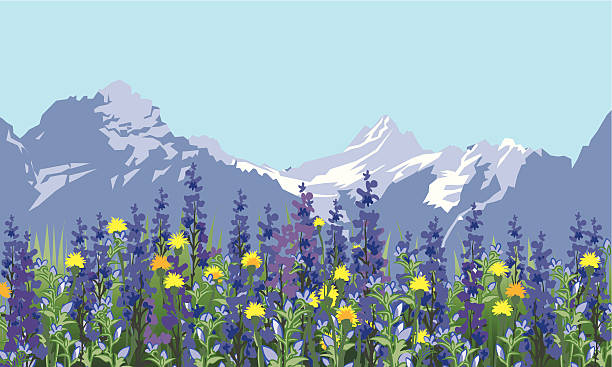 ilustraciones, imágenes clip art, dibujos animados e iconos de stock de paisaje de alpine meadow - meadow summer backgrounds panoramic