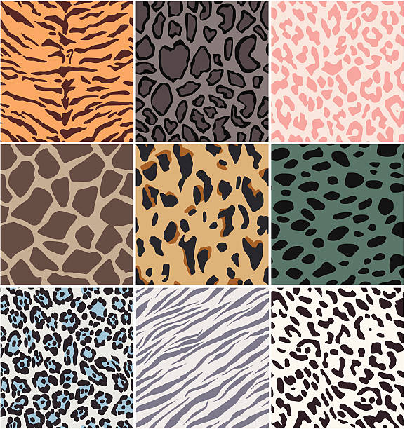 illustrazioni stock, clip art, cartoni animati e icone di tendenza di modello di pelle di animale - cow hide fur backgrounds