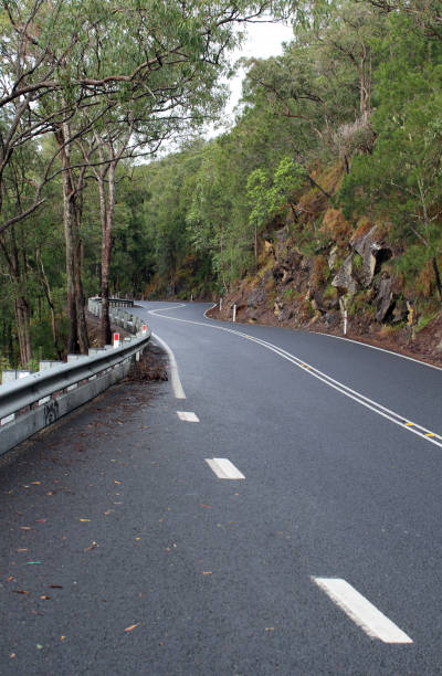 istock Winding road through the mountains with rocks and trees 1645677638