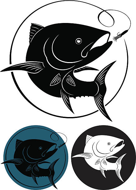 tuna fish - dog tooth tuna stock illustrations