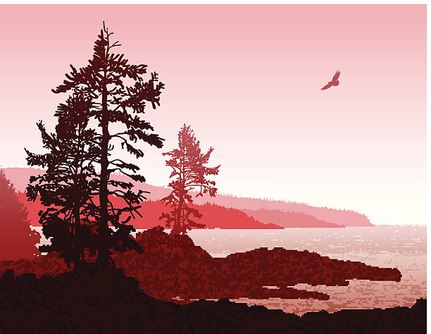 Abstract Vancouver Island BC West Coast Landscape Inspiring illustration depicting the rugged west coast of Vancouver Island port renfrew stock illustrations