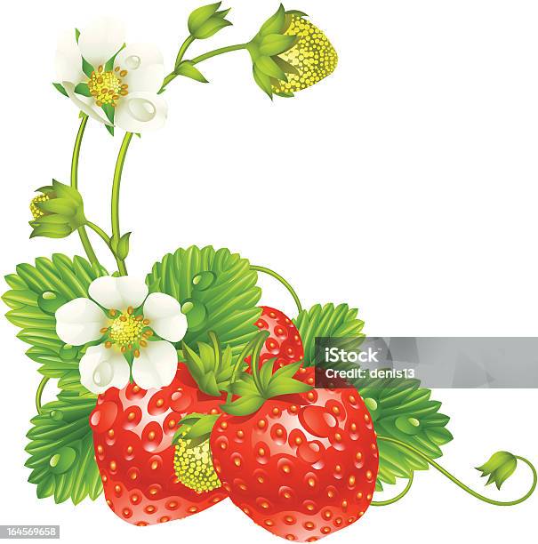Vector Strawberry Frame Isolated On White Background Stock Illustration - Download Image Now