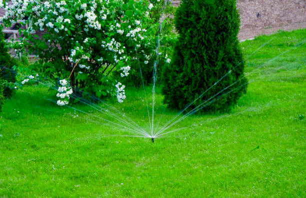istock Sammer in the garden. Automatic watering watering green lawn 1645732588