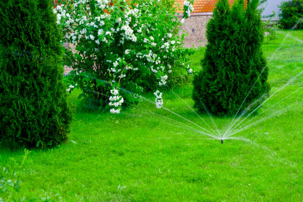 istock Sammer in the garden. Automatic watering watering green lawn 1645733615