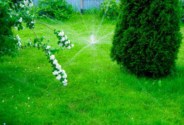 istock Sammer in the garden. Automatic watering watering green lawn 1645735815