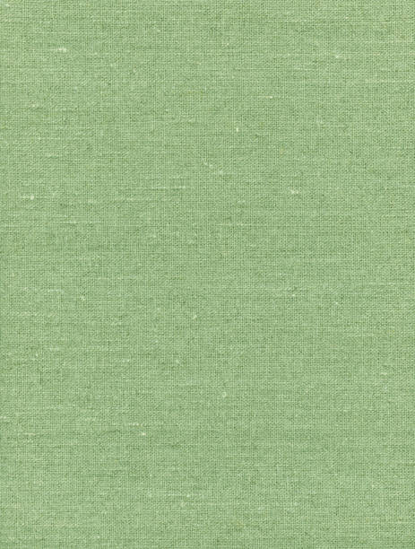 istock Green linen fabric texture for background 1645761511