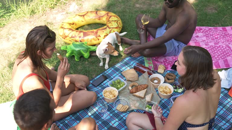 Little dog and group of friends enjoying a picnic