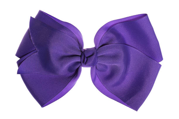 istock Beautiful purple school gift bow isolated on white 1645849312