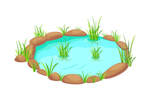 160+ Isometric Wetlands Stock Illustrations, Royalty-Free Vector ...