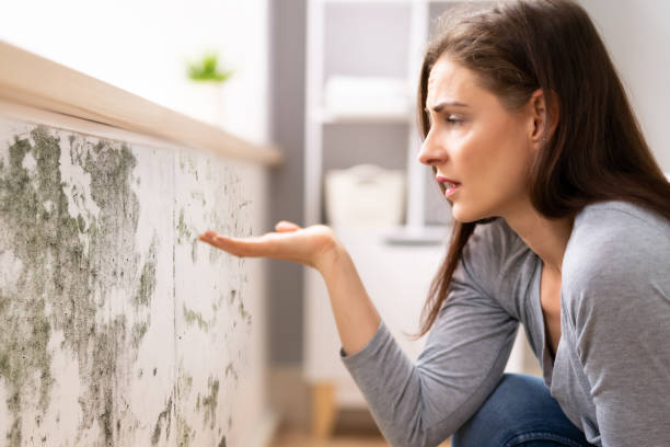 Shocked Woman Looking At Mold On Wall Side View Of A Shocked Young Woman Looking At Mold On Wall mildew stock pictures, royalty-free photos & images