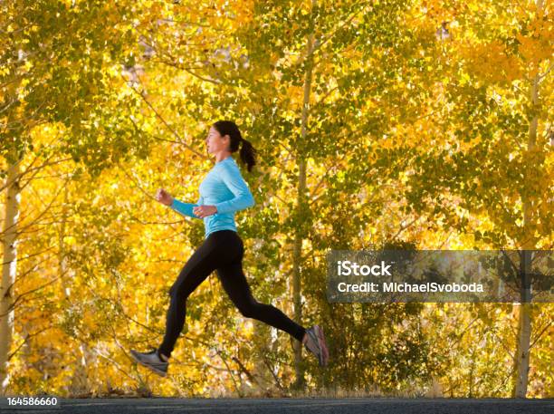 Autunno Trail Runner - Fotografie stock e altre immagini di Abbigliamento sportivo - Abbigliamento sportivo, Adulto, Allenamento