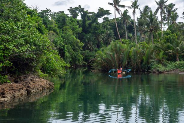 istock Boat on a tropical river with a jungle background 1645877524