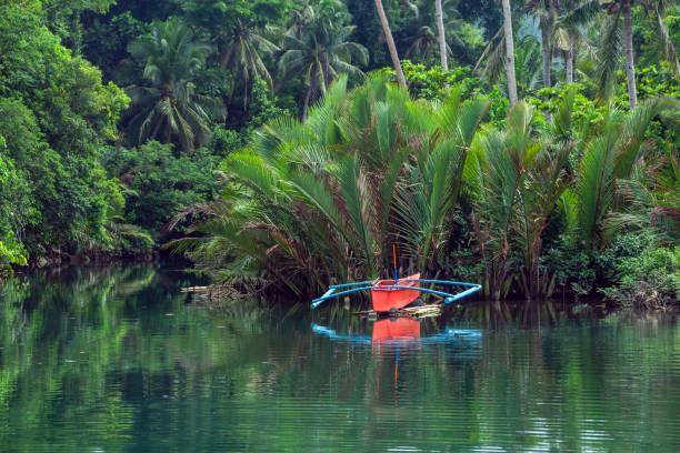 istock Boat on a tropical river with a jungle background. 1645889761