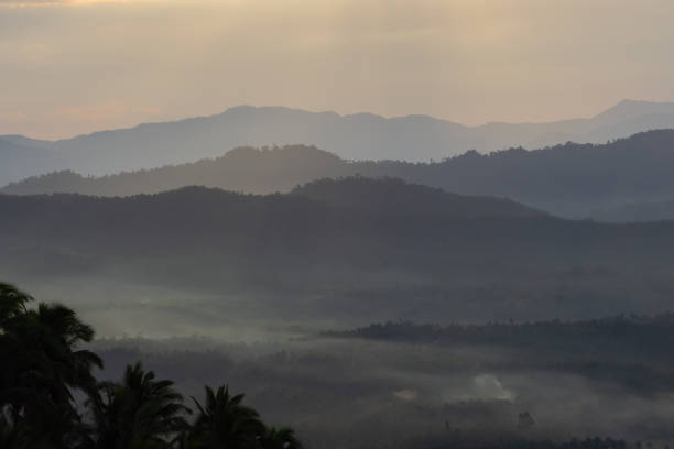 Fog and clouds at dawn over the tropical forest. high quality photo
