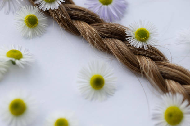 istock Pigtail. Chamomile flowers in hair. 1645894507