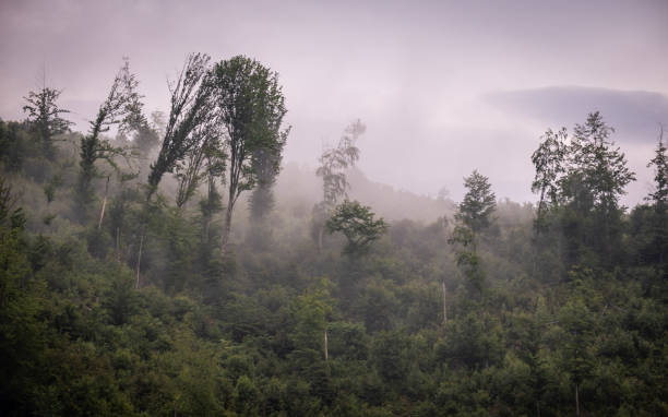 istock Summer thunderstorm in the Carpathian mountains 1645897190