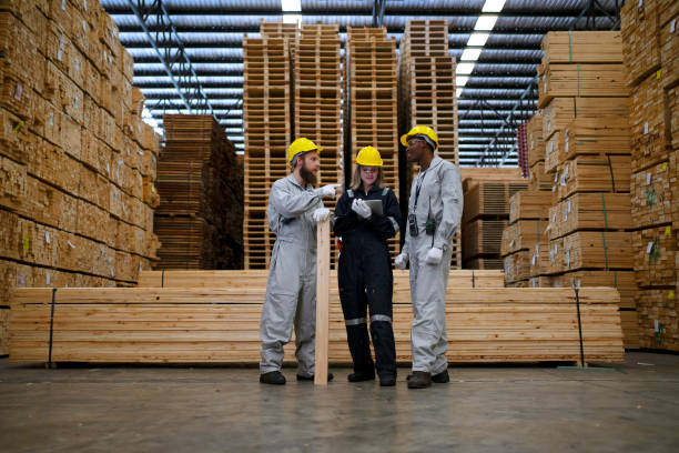 Blue collar workers are working at wooden pallets factory.