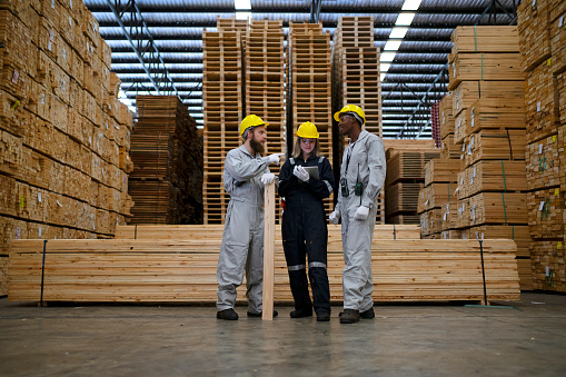 Blue collar workers are working at wooden pallets factory. Blue collar and occupation concept.