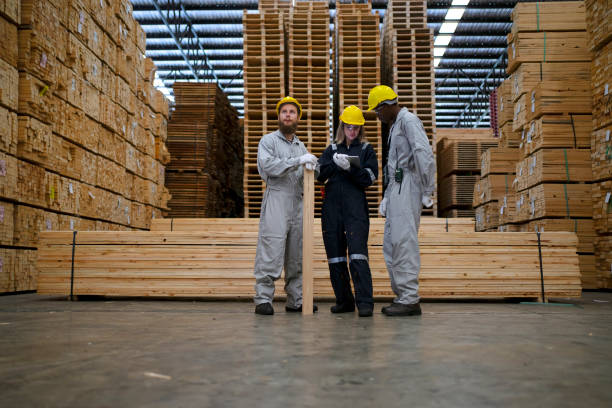 istock Blue collar workers are working at wooden pallets factory. 1645897836