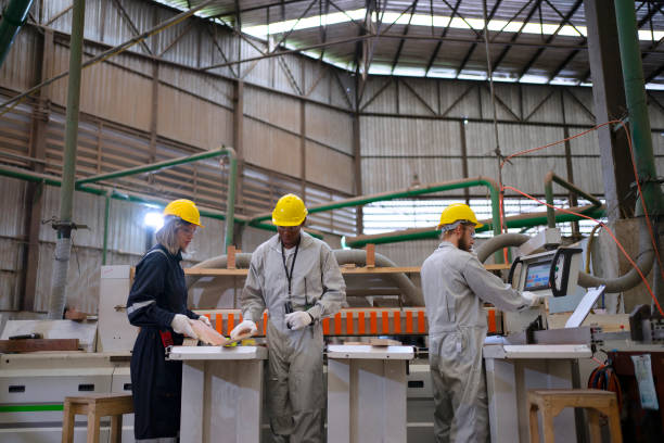 istock Blue collar workers are working at wooden pallets factory. 1645897838