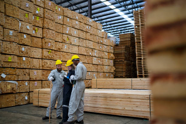 istock Blue collar workers are working at wooden pallets factory. 1645898363