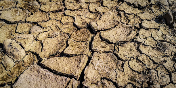 terra rachada seca na margem de um rio da montanha - global warming drought riverbank dirt - fotografias e filmes do acervo