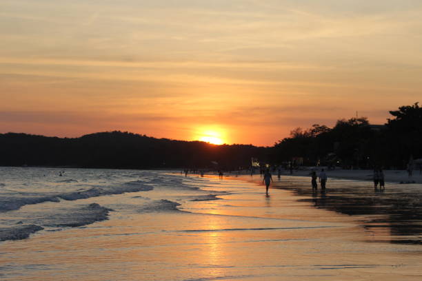 istock Golden sunset by the beach 1645922137
