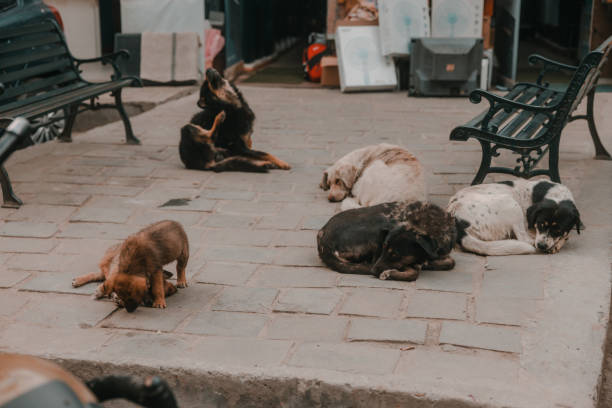 kathmandu streets