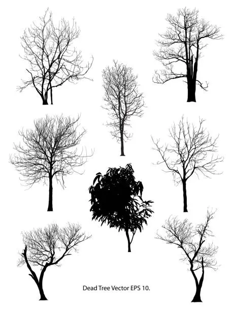 Vector illustration of Dead Tree without Leaves Vector Illustration Sketched, EPS 10.