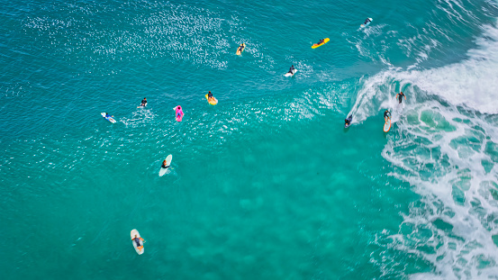 Aerial view of tourists paddle boarding while enjoying sea, California, USA.