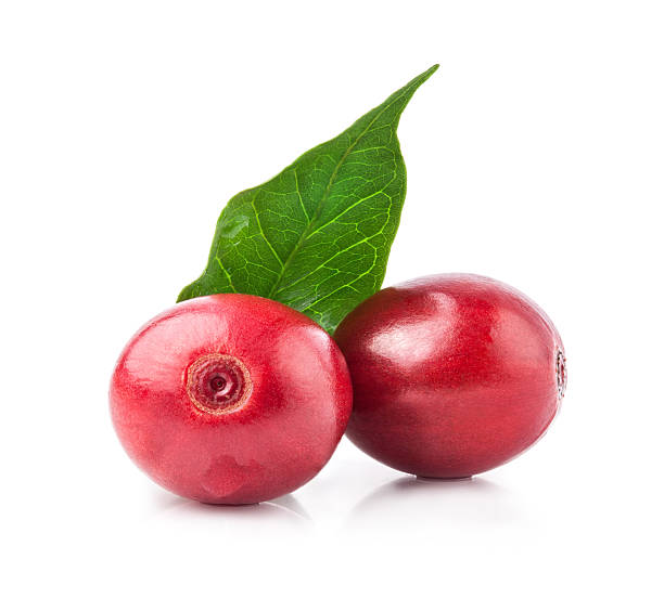 istock Two ripe coffee beans and a lead on a white background 164595013