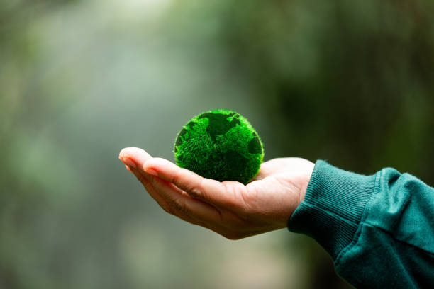 istock Hands holding green globe in green forest. Forest conservation concept. Environment concept. Elements of this image furnished by NASA 1645951467