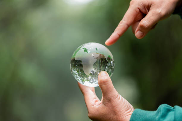 istock Hands Holding Globe Glass In Green Forest. Forest conservation concept. Environment Concept. elements of this image furnished by NASA 1645952517