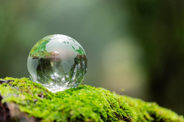 istock Environment. Glass globe on grass moss in forest, Green planet with abstract defocused bokeh lights, Environmental conservation concept. Elements of this image furnished by NASA 1645953034