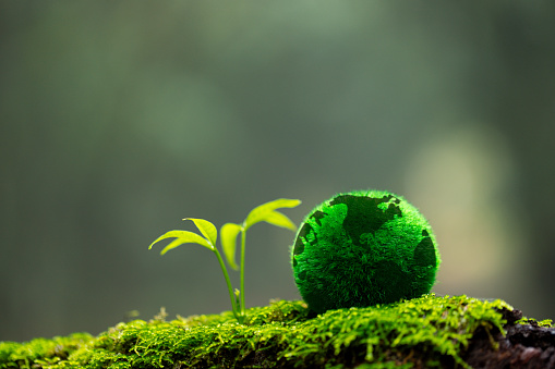 Environment. Green globe on grass moss in forest, Green planet with abstract defocused bokeh lights, Environmental conservation concept. Elements of this image furnished by NASA