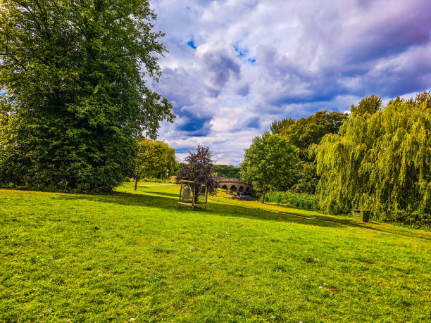 istock A grass field with trees and a bridge 1645953581
