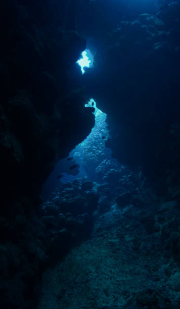 istock Underwater photo of lights inside a cave 1645959004